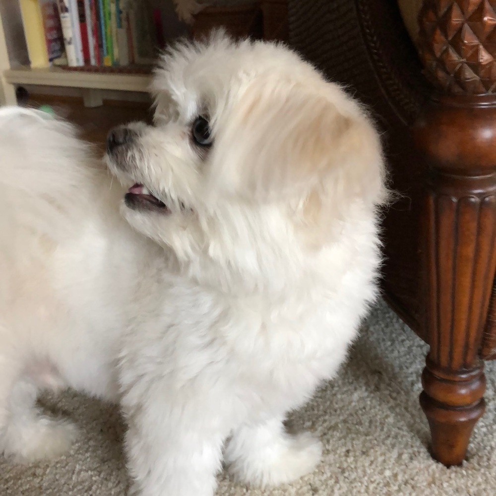 Meet your Posher, Beth